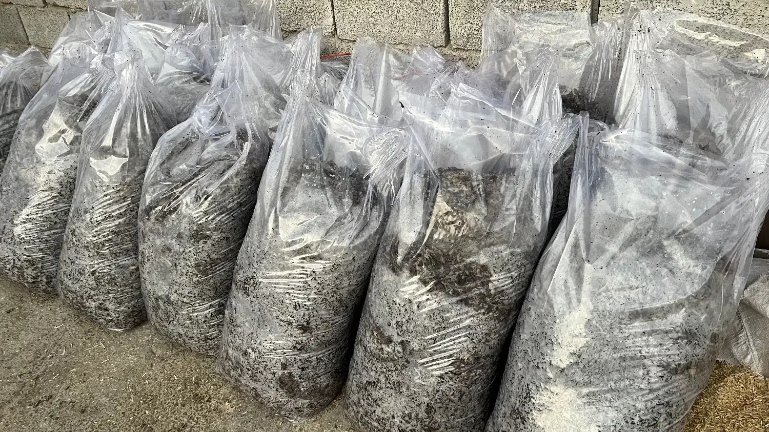 تفاله چغندر خشک و بی آب|عمده‌فروشی|ملایر, |دیوار