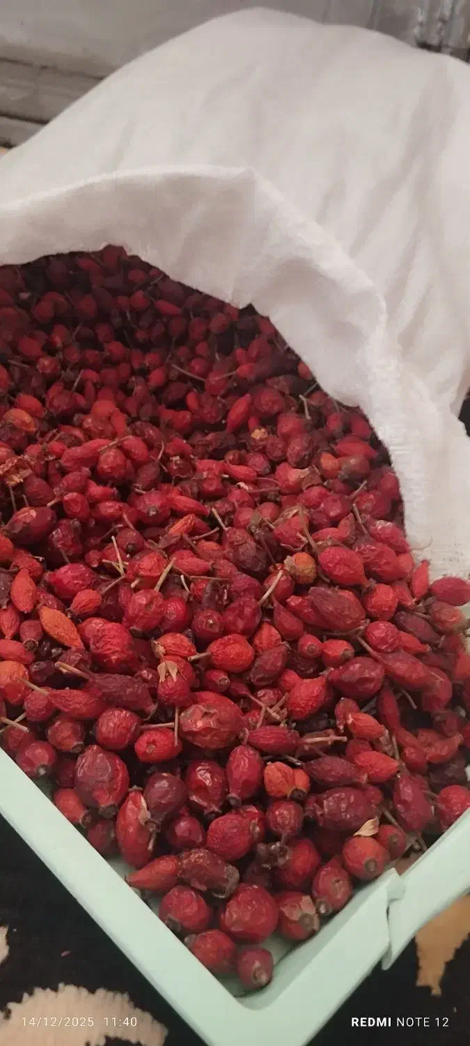 کیلویی صدوسی|خوردنی و آشامیدنی|شاهرود (اردبیل), |دیوار