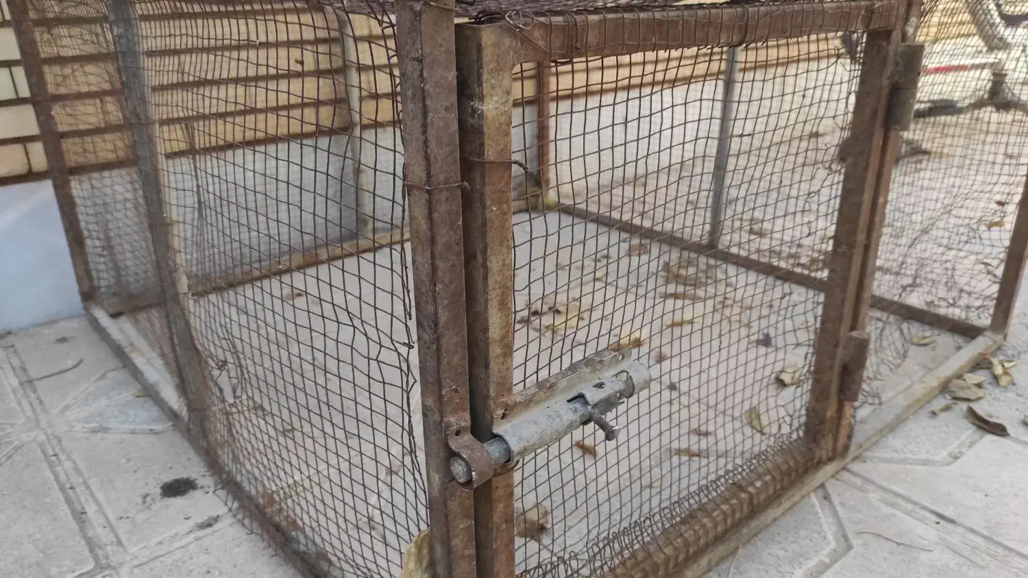 قفس ۱×۱ با تخفیف ویژه تا ساعت ۱۲ امشب|لوازم جانبی حیوانات|میبد, |دیوار