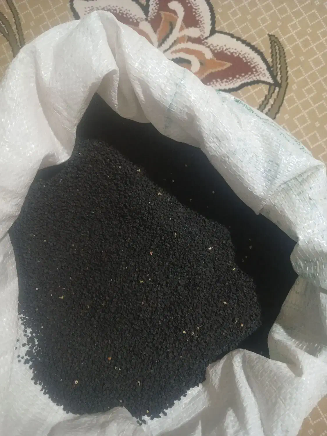 دانه پیاز محلی طارم|گل و گیاه طبیعی|چورزق, |دیوار