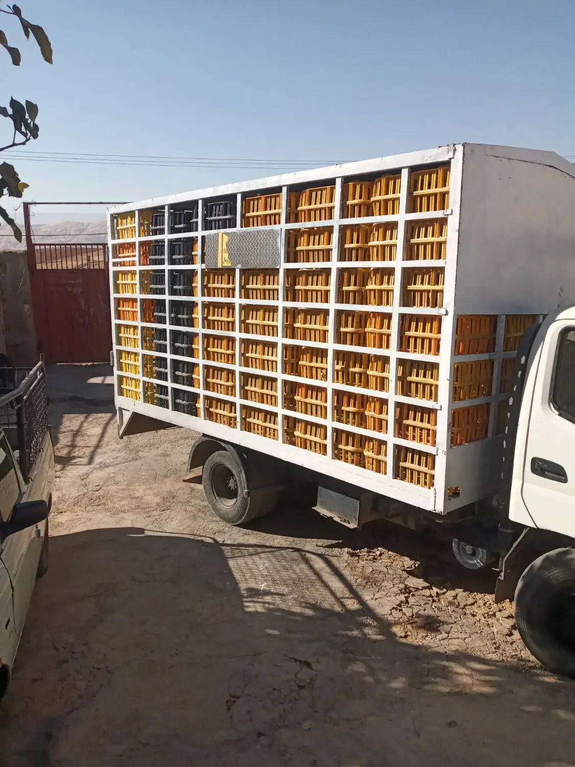 اتاق مرغی|قطعات یدکی و لوازم جانبی|کوهنانی, |دیوار