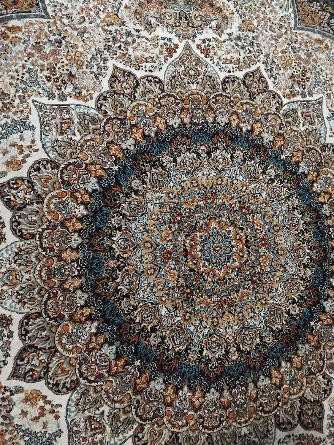 فرش ۱۲متری|فرش|گرگان, |دیوار