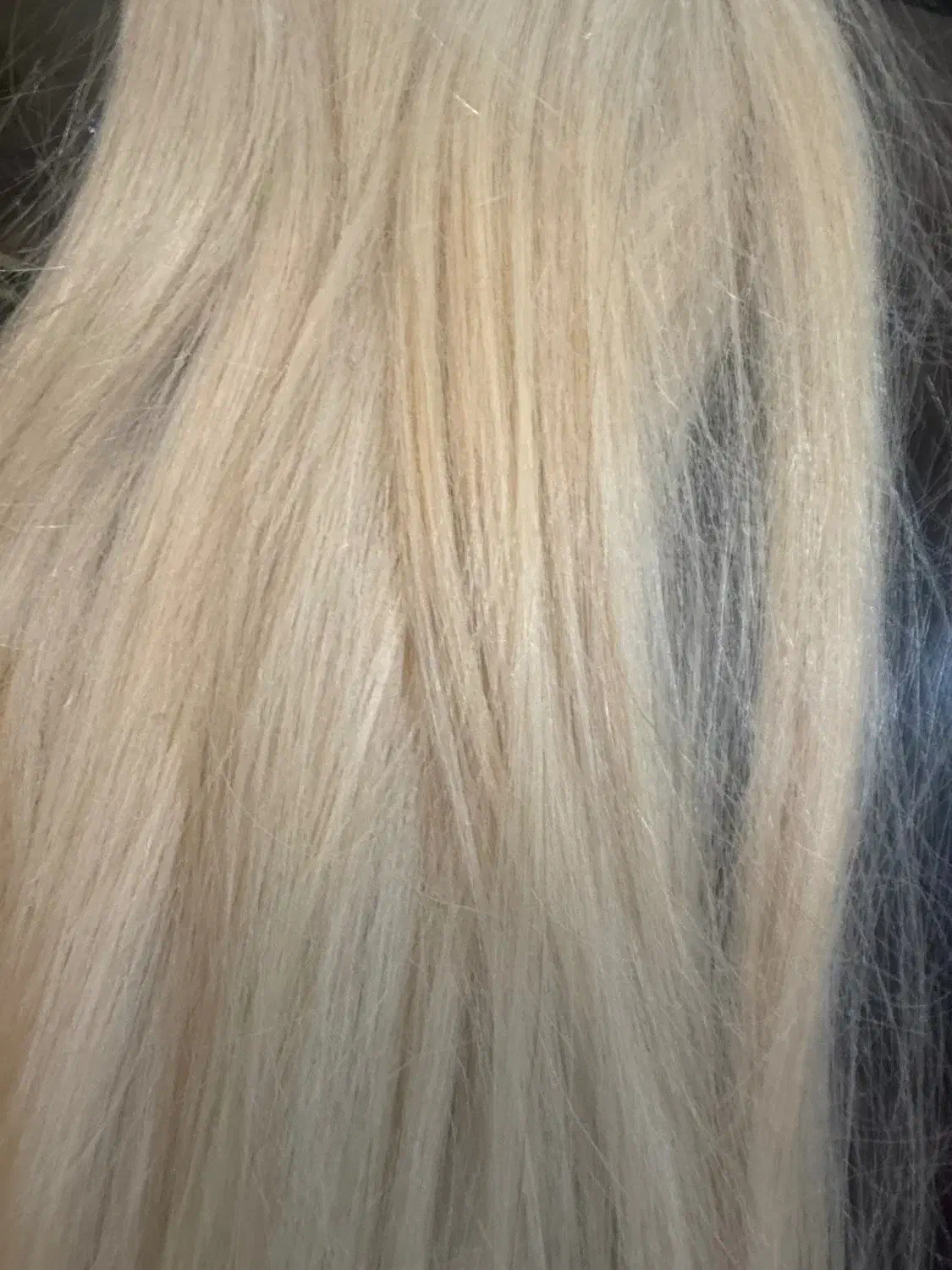 مو بلوند ۸۵ سانت|آرایشی، بهداشتی، درمانی|تهران, چیذر|دیوار