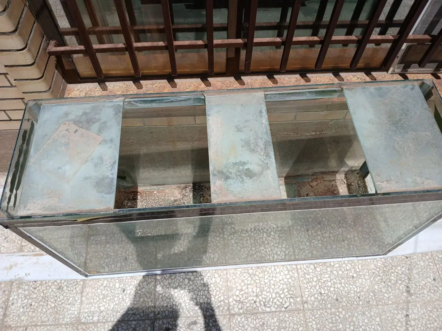 آکواریوم|ماهی|فولادشهر, C5|دیوار