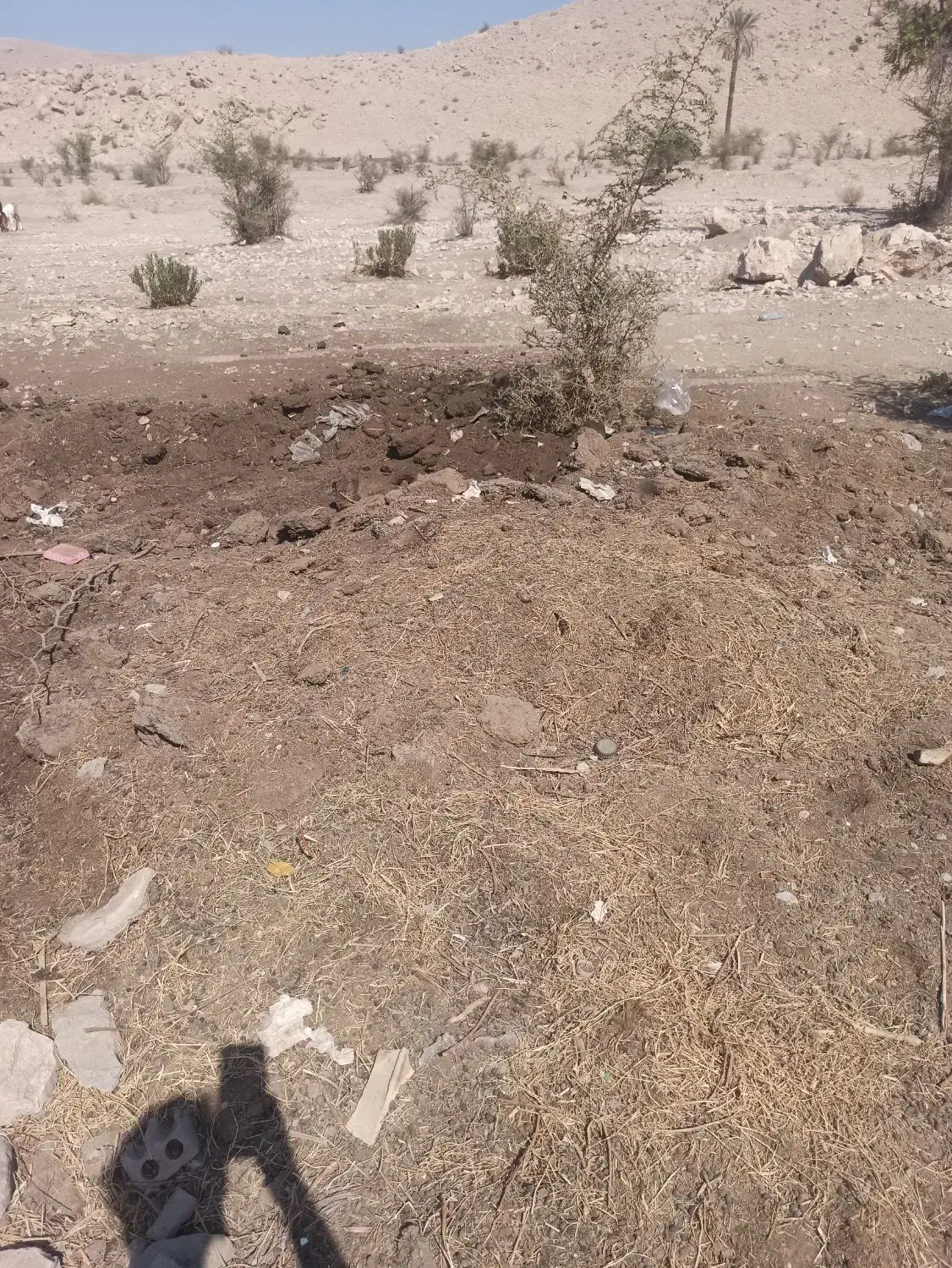 کود گوسفندی تمیز پودری|خدمات باغبانی و درختکاری|عنبرآباد, |دیوار