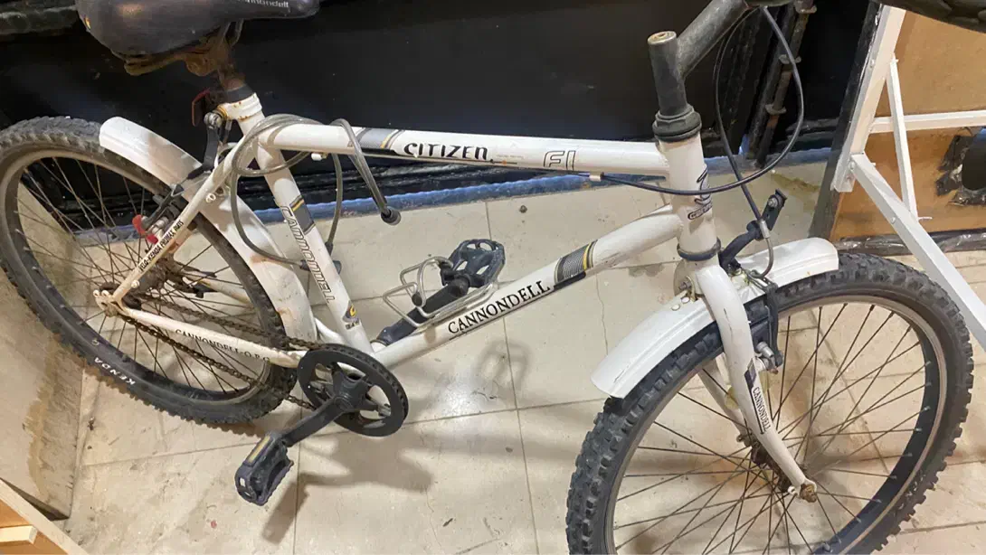 دوچرخه|دوچرخه، اسکیت، اسکوتر|چالوس, |دیوار