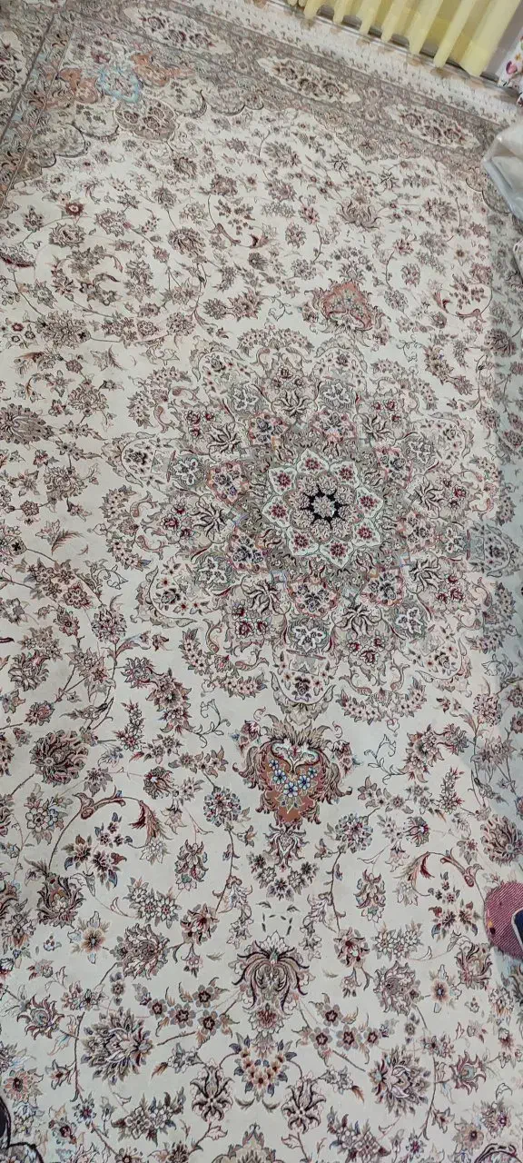 فرش شونهر آلمان|فرش|مشهد, رضاشهر|دیوار