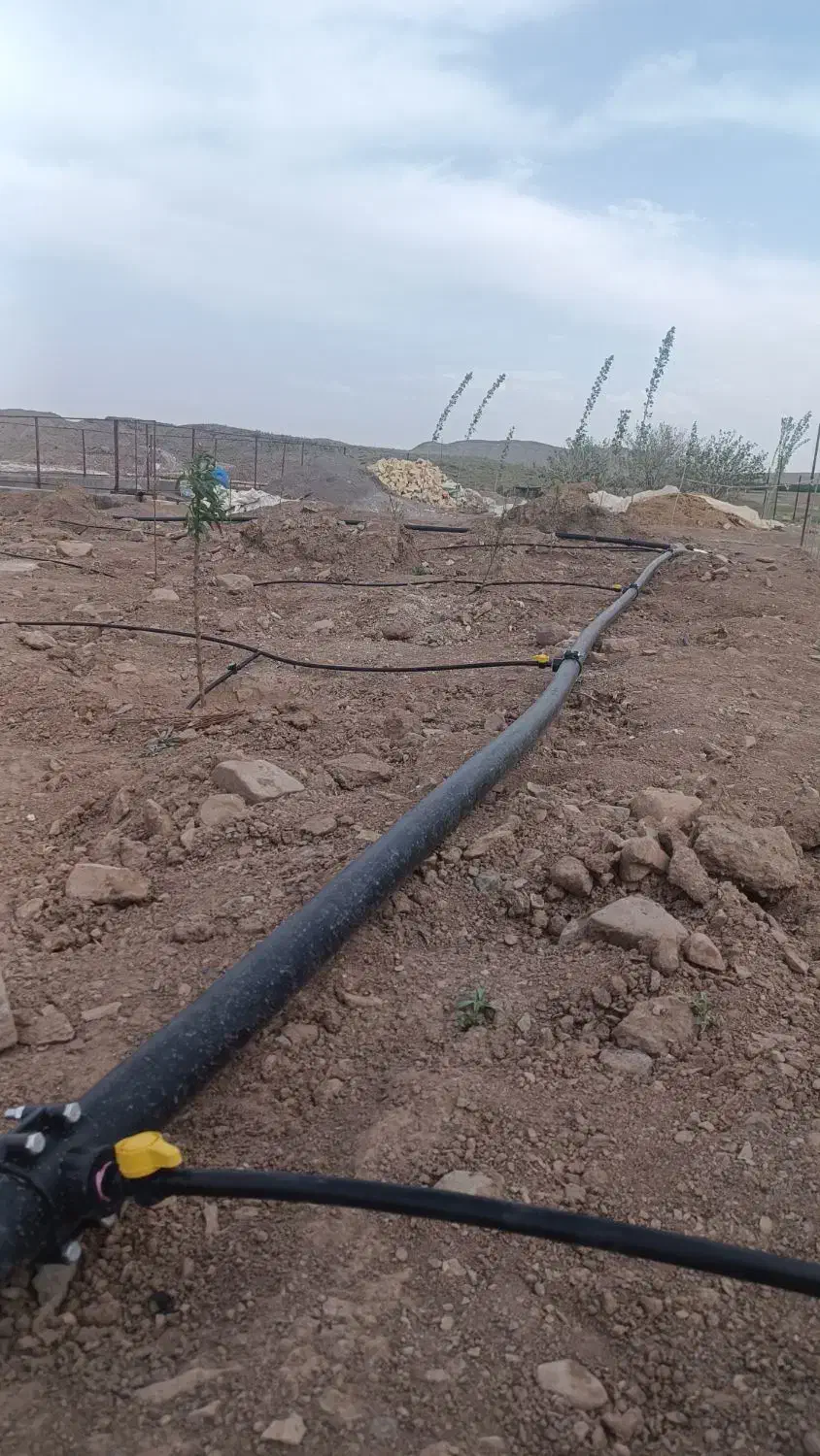 آبیاری قطره ای و فضای سبز روف گاردن|خدمات باغبانی و درختکاری|قم, شهرک قدس|دیوار