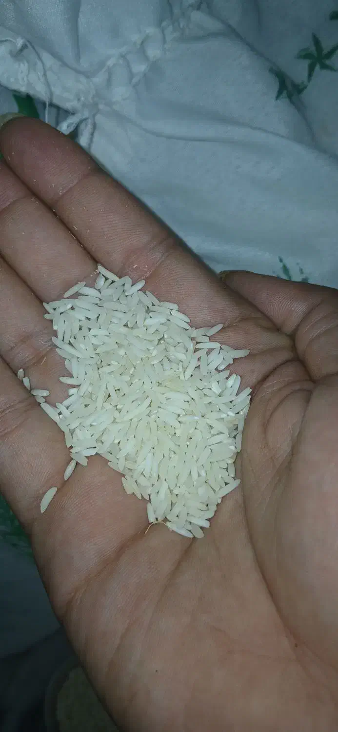 انواع برنج ایرانی اعلا|خوردنی و آشامیدنی|تهران, فردوس|دیوار