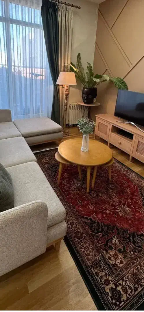 سلطان فرش های دستی سبز وقرمز|فرش|مشهد, چهارباغ|دیوار