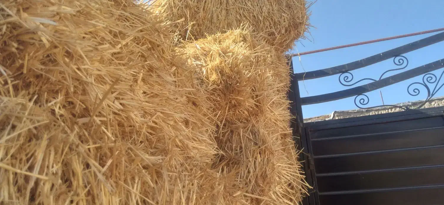 ۱۷۰عددپرس گندم.۱۲۰ تومن.خودم خریده بودم.تغییر شغل|لوازم جانبی حیوانات|مهربان, |دیوار