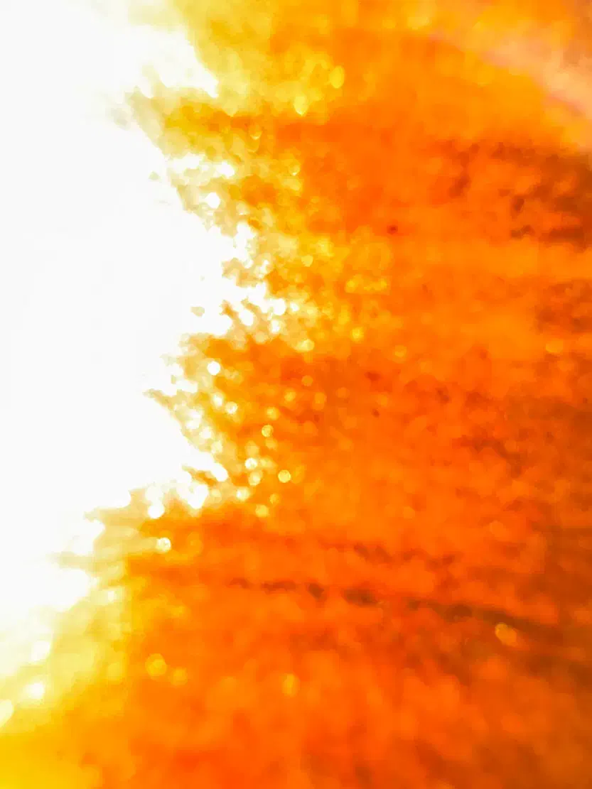 جذب کارگر ساده|استخدام سرایداری و نظافت|گلستان (تهران), |دیوار