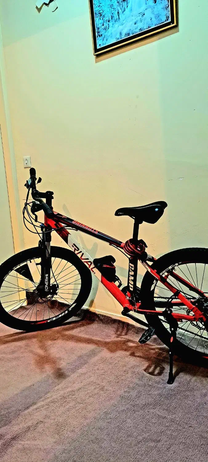 دو چرخه ریوال سند دار|دوچرخه، اسکیت، اسکوتر|تیکمه داش, |دیوار