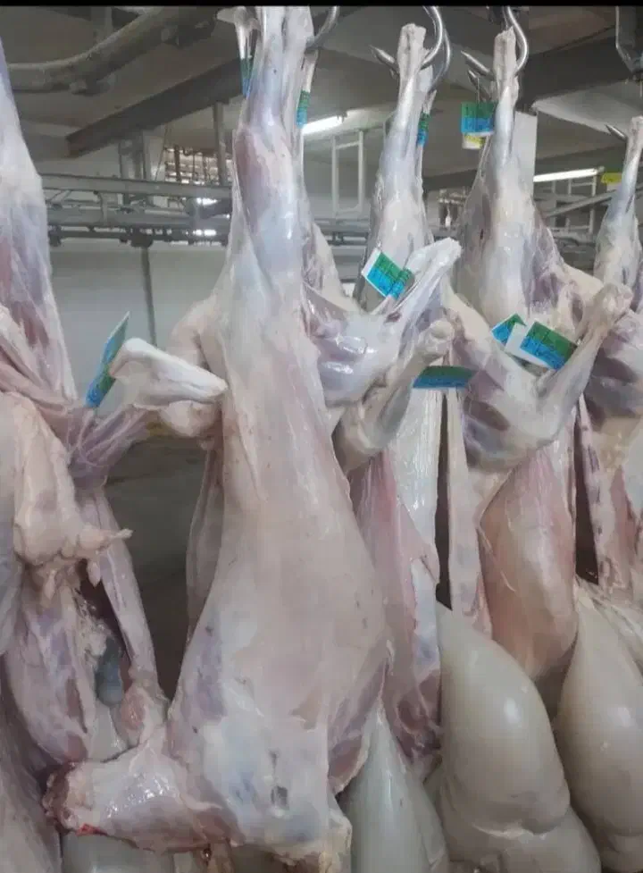 گوشت منجمدبرزیلی|خوردنی و آشامیدنی|اصفهان, فجر|دیوار