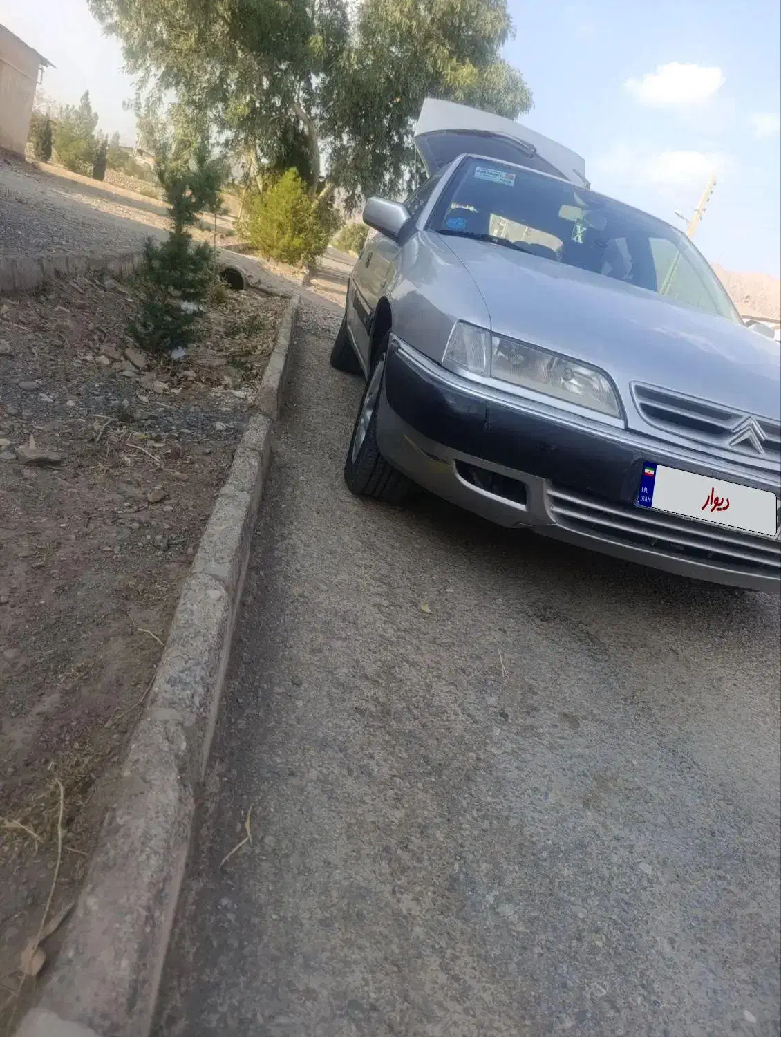 زانتیا84|خودرو سواری و وانت|کرمان, |دیوار