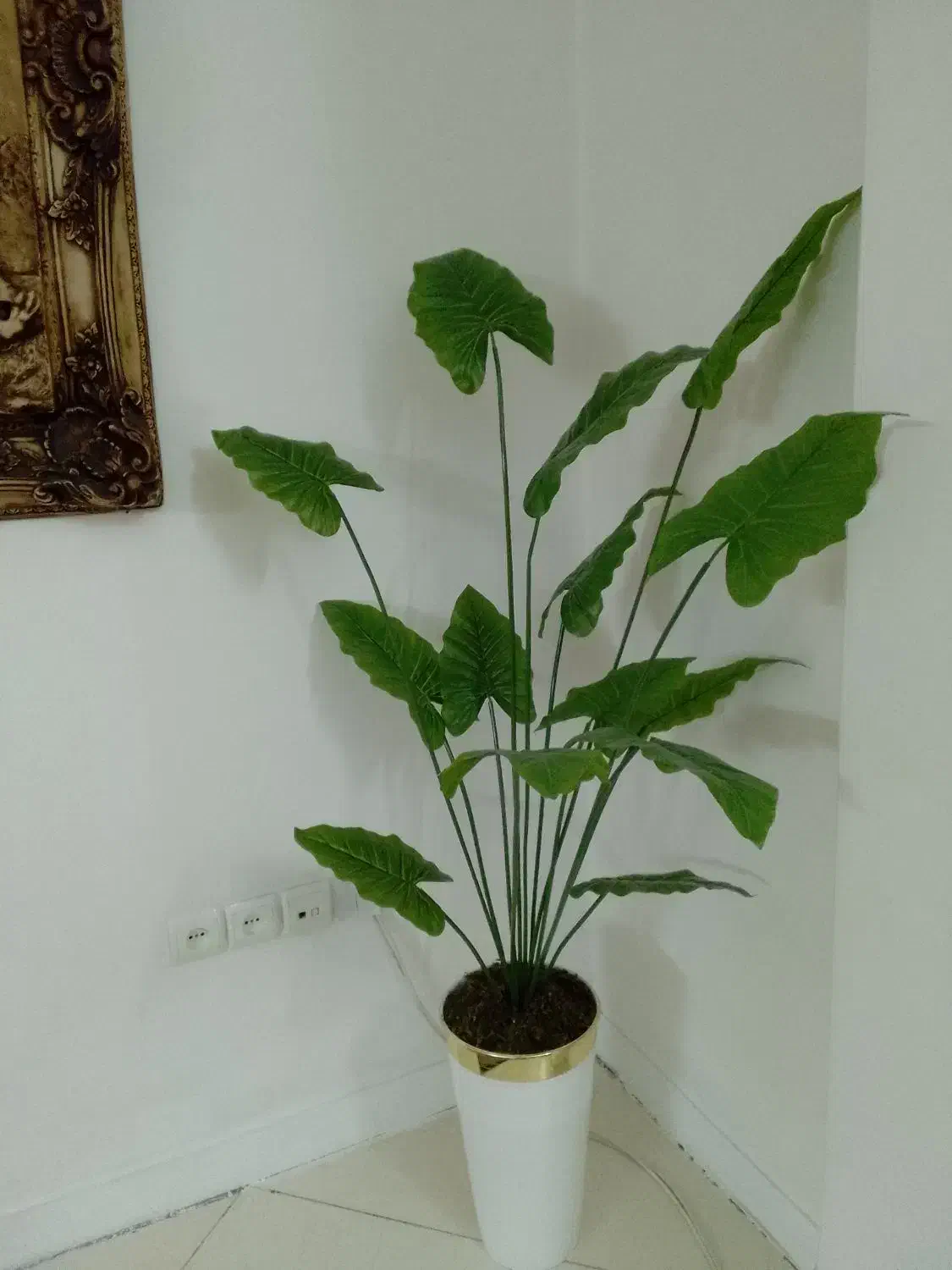 درختچه مصنوعی|گل مصنوعی|تهران, مقدم|دیوار