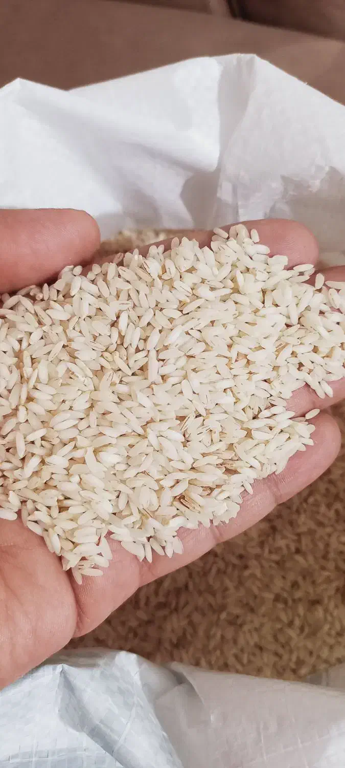 برنج عنبربو|عمده‌فروشی|اهواز, اسماعیلیه|دیوار