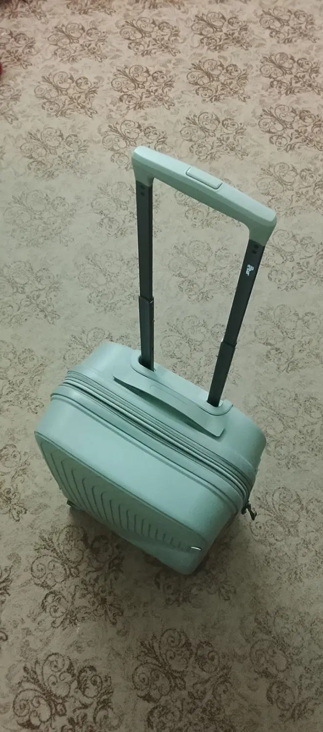 چمدان|کیف، کفش، کمربند|شیراز, راهنمایی|دیوار
