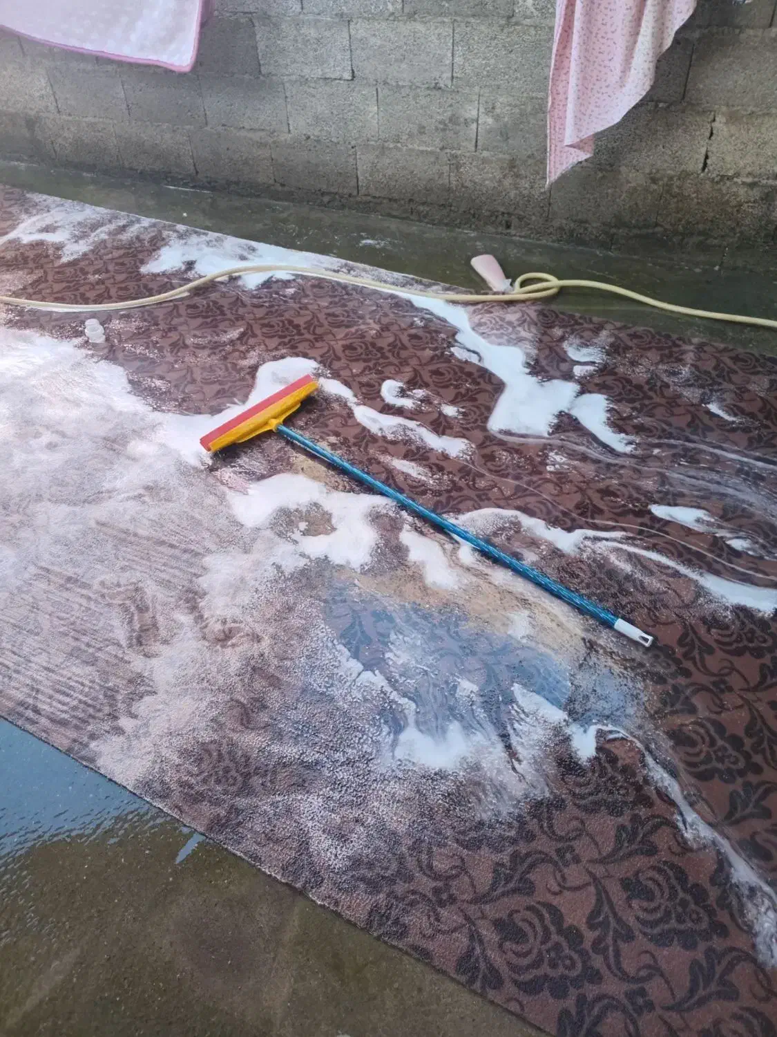 موکت|موکت|کوچصفهان, |دیوار