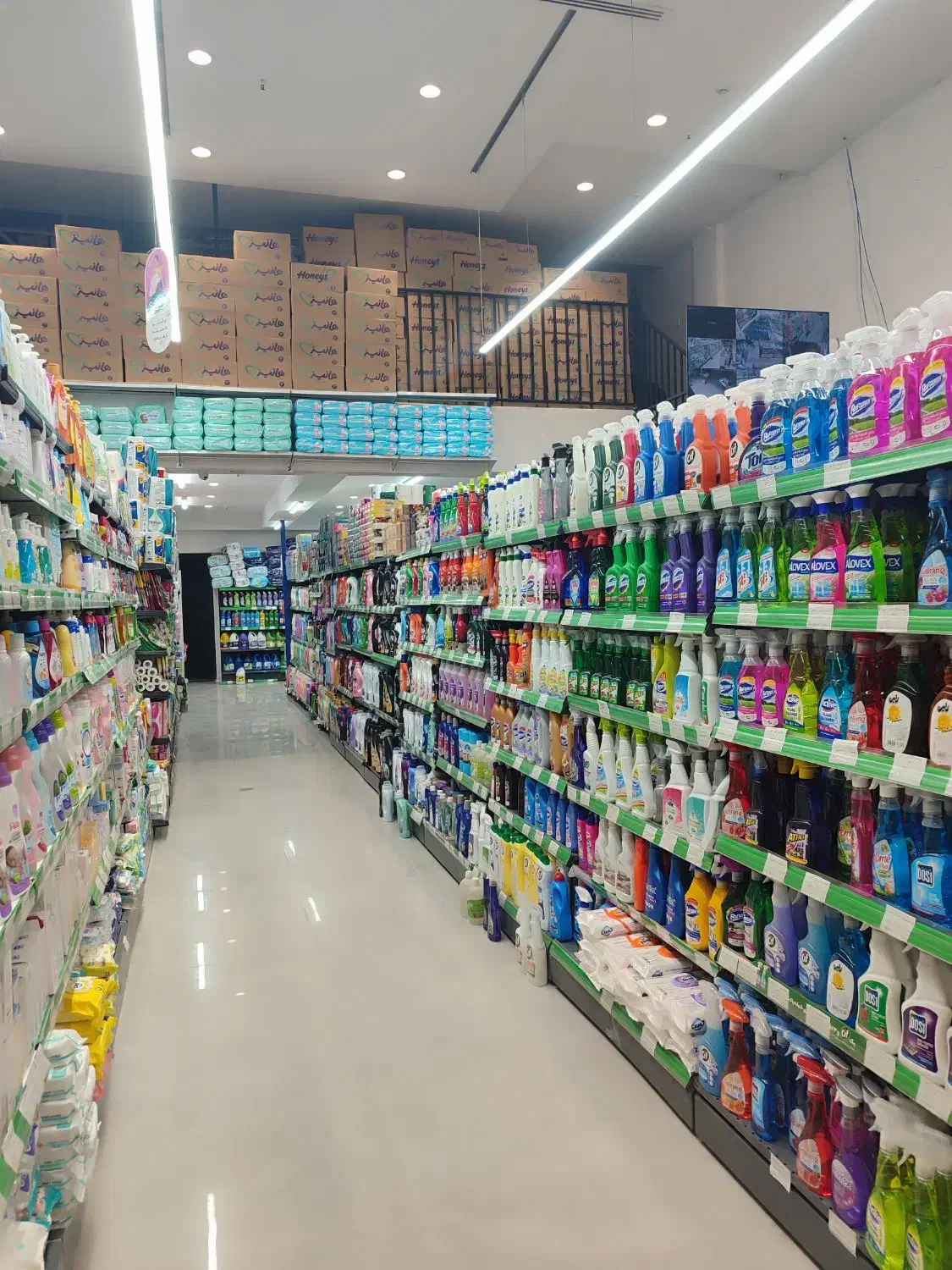 پخش انواع شوینده بهداشتی|مواد شوینده و دستمال کاغذی|مشهد, جاهد شهر|دیوار