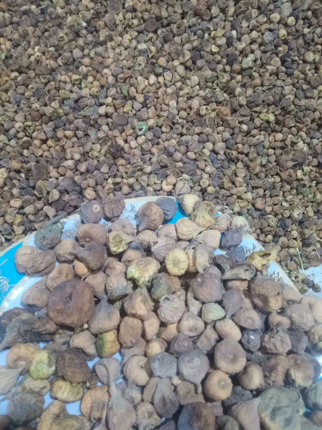 فروش دوتن شاه انجیر سایز متوسط پاک شده|عمده‌فروشی|میمند, |دیوار