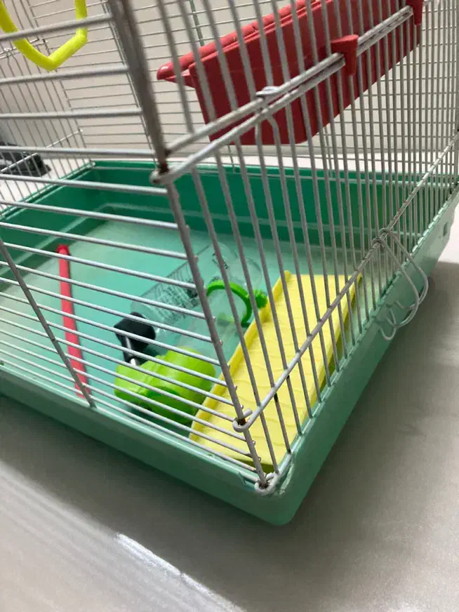 قفس|لوازم جانبی حیوانات|فردیس, شهرک وحدت|دیوار