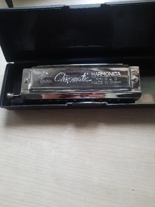 ساز دهنی Harmonica|آلات موسیقی|رشت, گلسار|دیوار