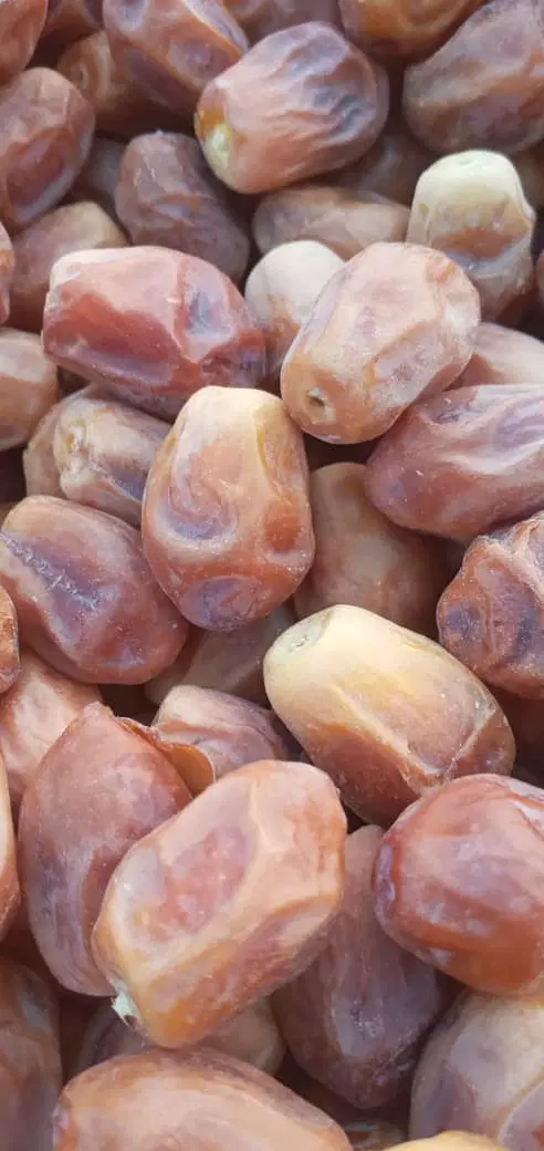 قصب|خوردنی و آشامیدنی|ریگ, |دیوار