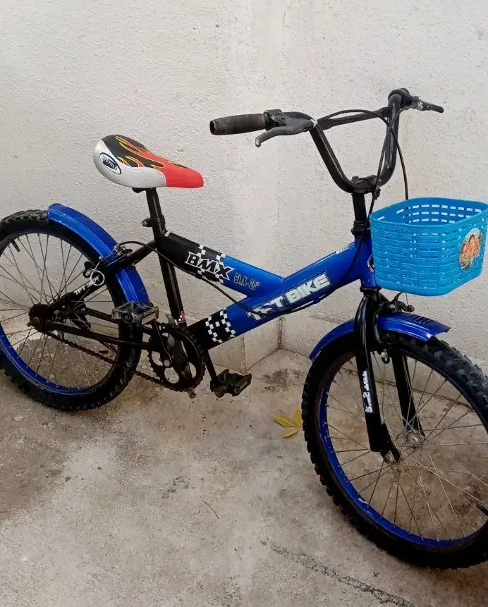 دوچرخه 20 دوعدد سالم|دوچرخه، اسکیت، اسکوتر|شیروان (خراسان), |دیوار