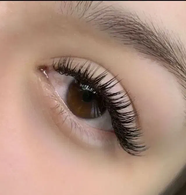 خدمات تخصصی اکستنشن مژه و لیفت و لمینت مژه و ابرو|خدمات آرایشگری و زیبایی|مشهد, جانباز|دیوار