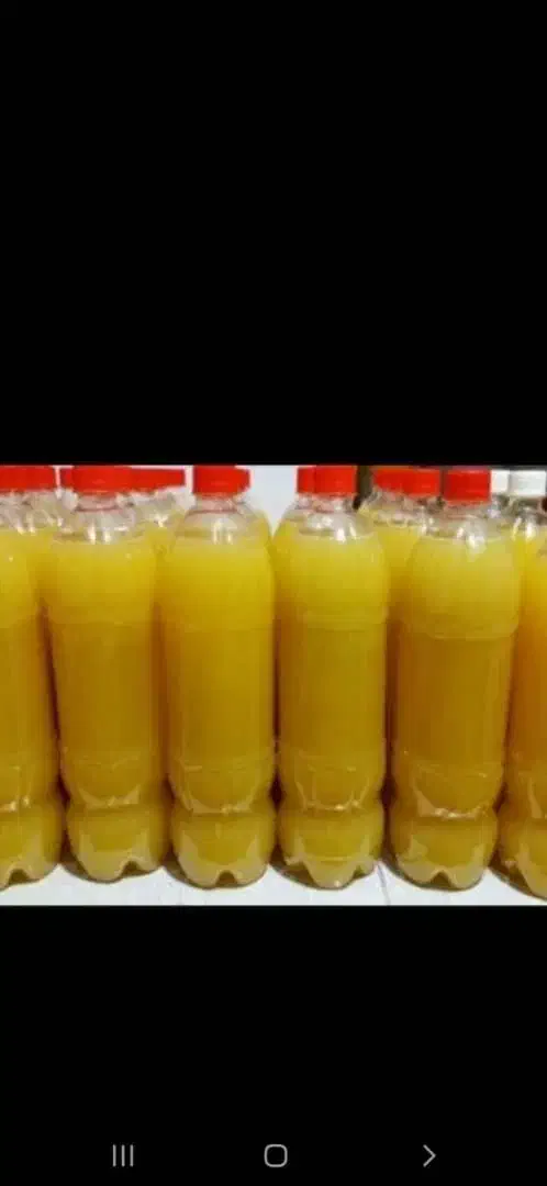 بذر نارنج(تخم نارنج)|خدمات باغبانی و درختکاری|تهران, دکتر هوشیار|دیوار