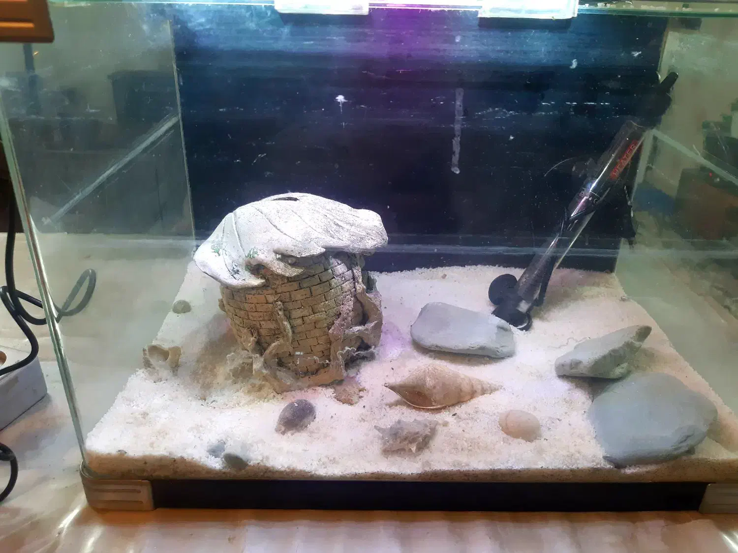 آکواریوم  شرکتی با تمام لوازم|ماهی|تهران, فلاح|دیوار