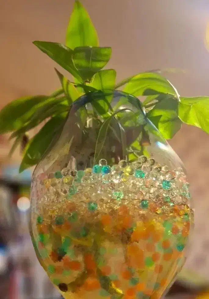 خاک ژله ای|گل و گیاه طبیعی|رودهن, |دیوار