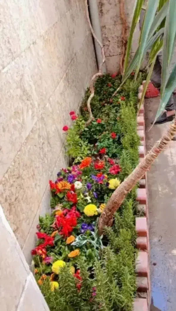 نظافت منزل آقاهستم|خدمات نظافت|قم, گلزار|دیوار