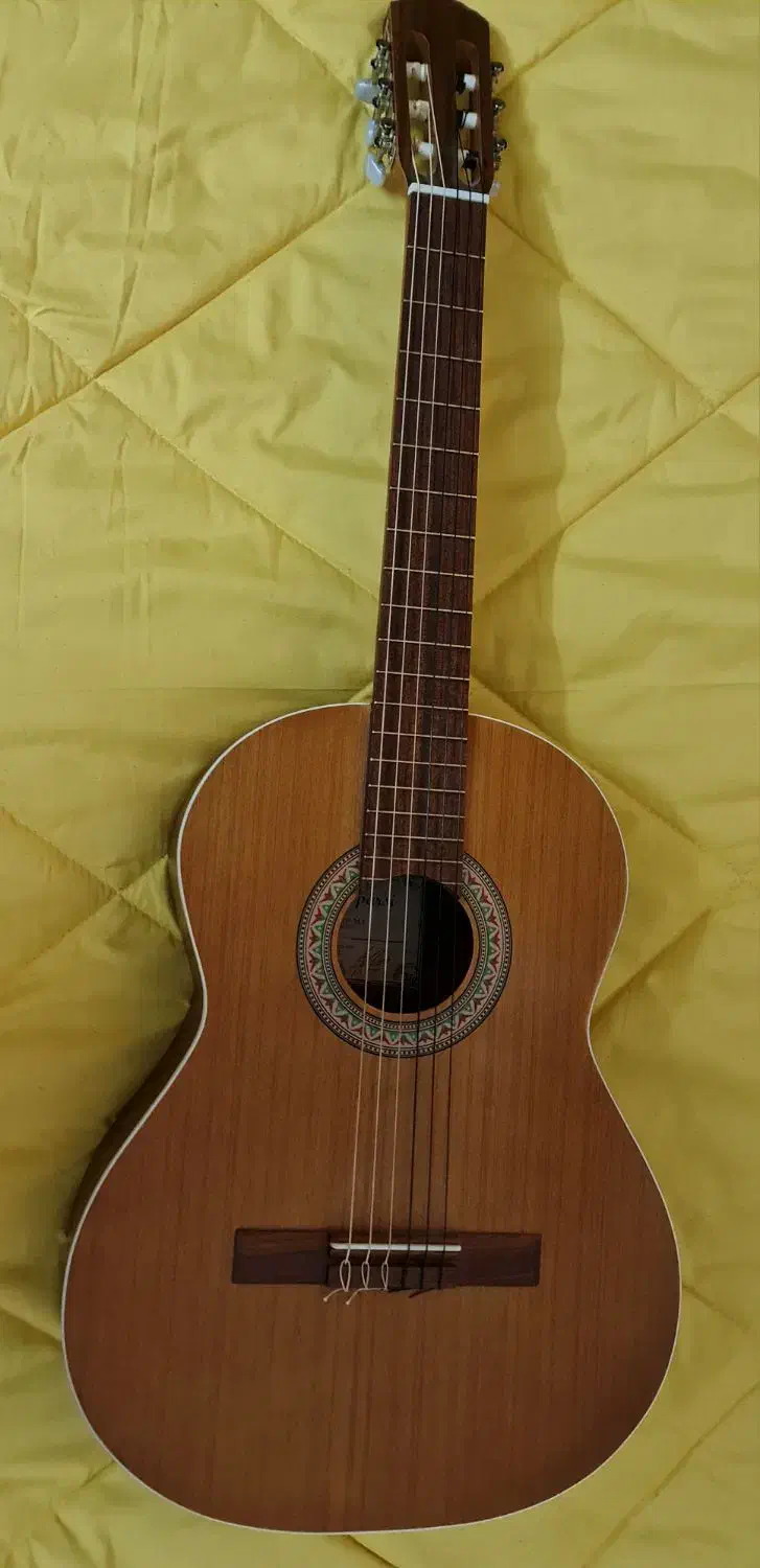 گیتار parsi M5|گیتار، بیس، امپلیفایر|بروجرد, |دیوار