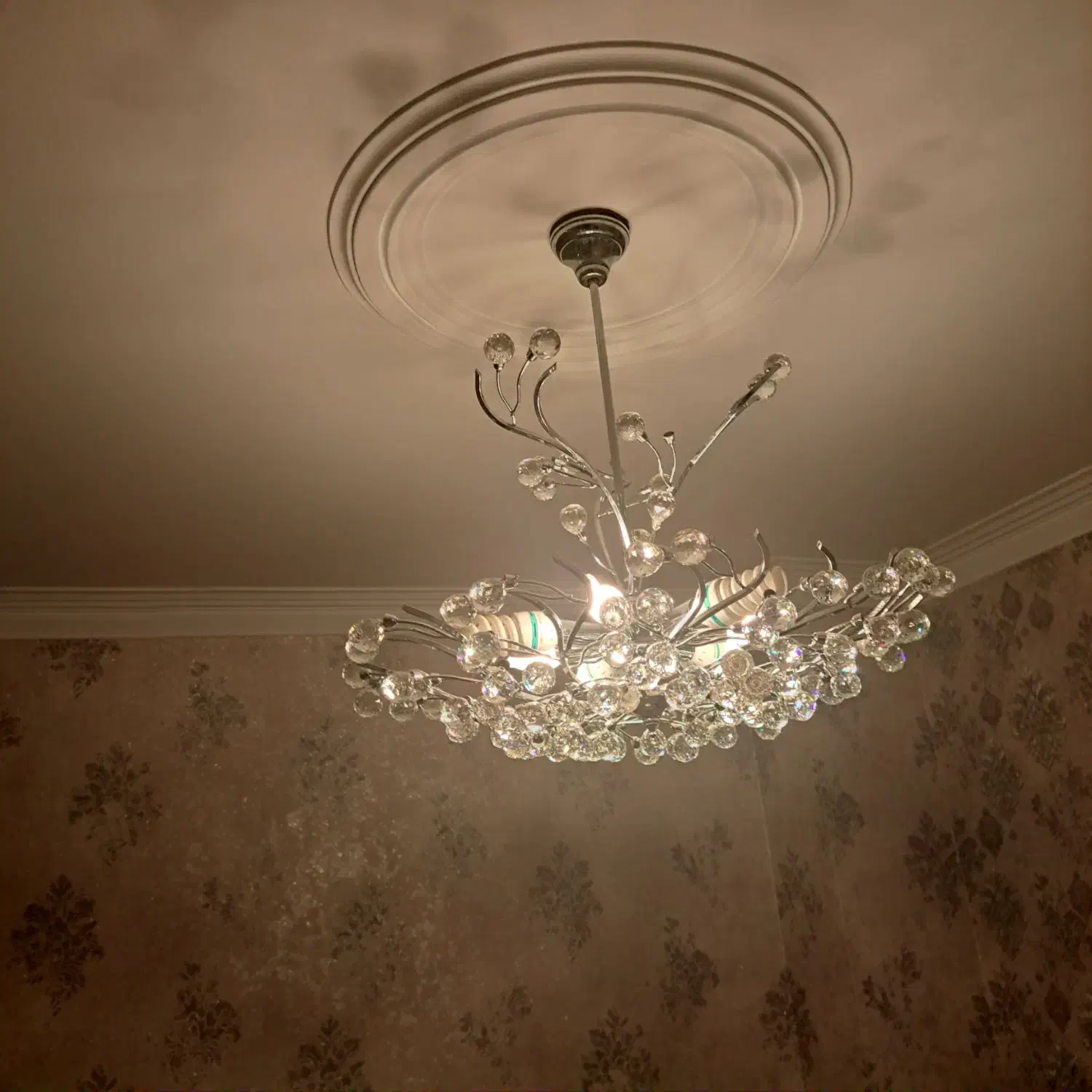 لوستر|لوستر و چراغ آویز|تهران, بهار|دیوار