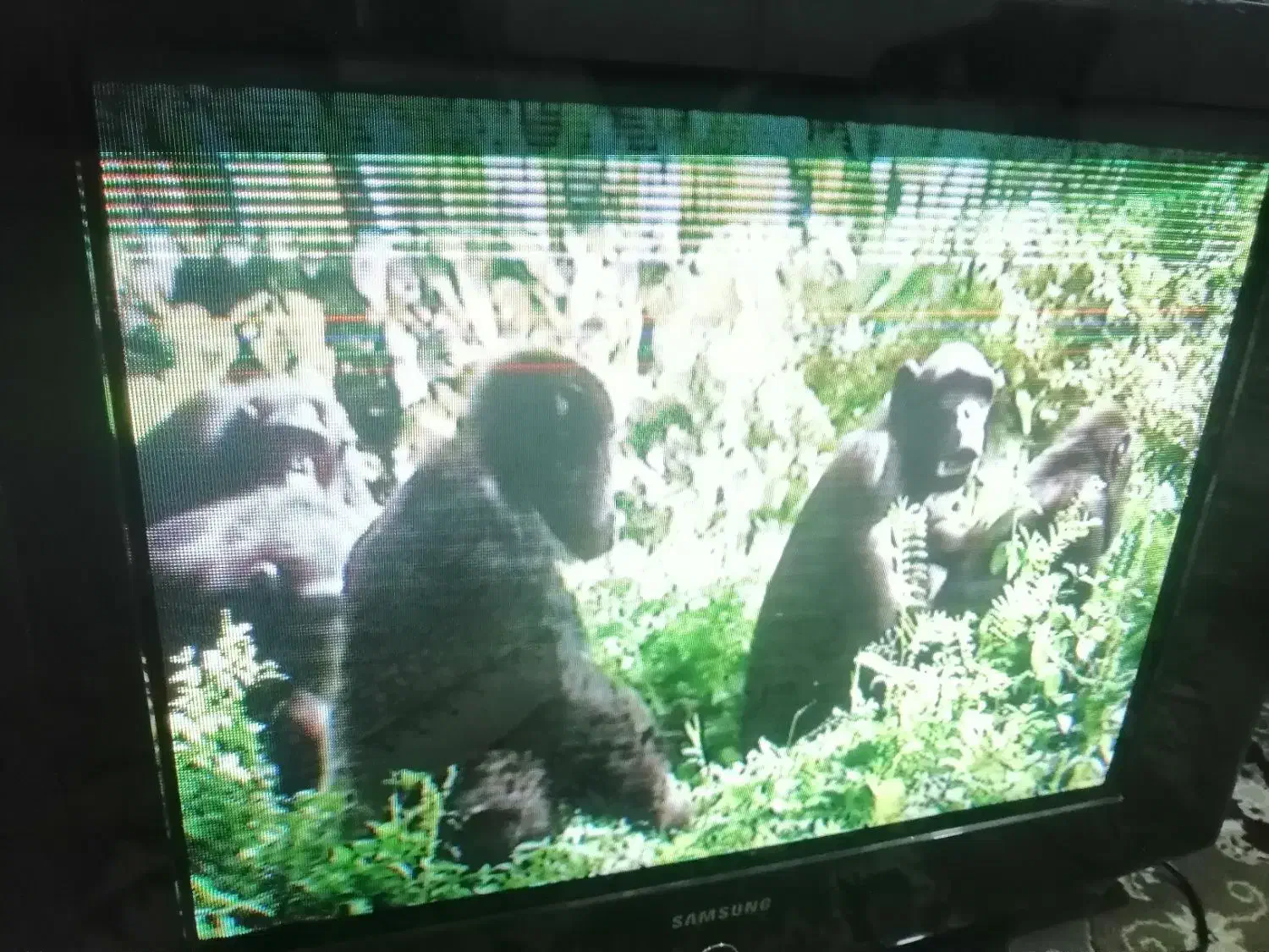 تلویزیون 31|تلویزیون و پروژکتور|گرگان, |دیوار