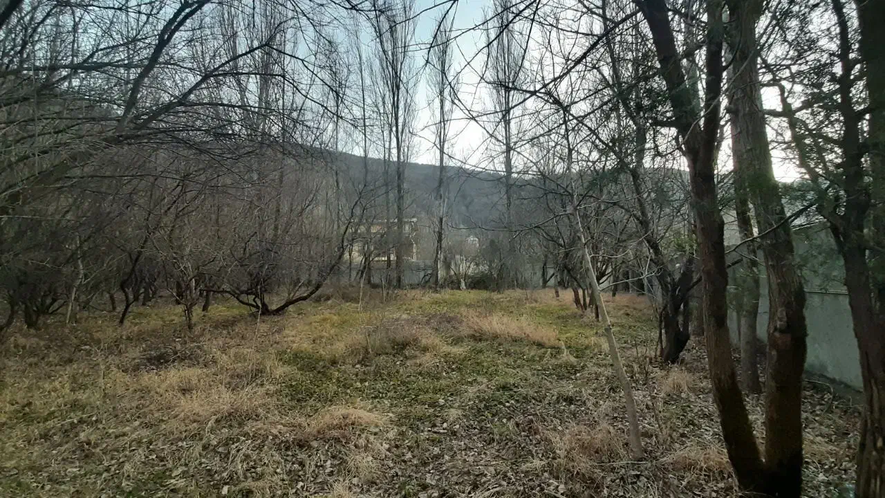 فروش زمین محصور|فروش زمین و ملک کلنگی|آستارا, |دیوار