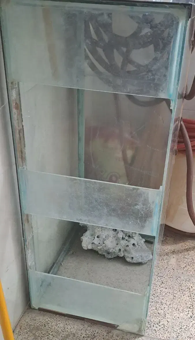 اکواریوم بزرگ وسالم|ماهی|سنندج, |دیوار