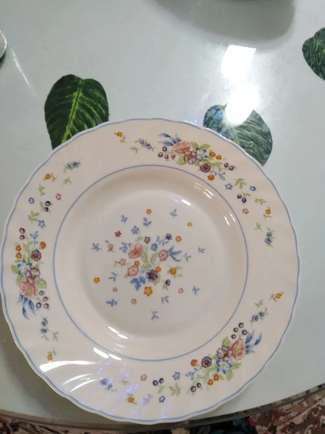 بشقاب ارکوپال|ظروف سرو و پذیرایی|قم, شاه سید علی|دیوار