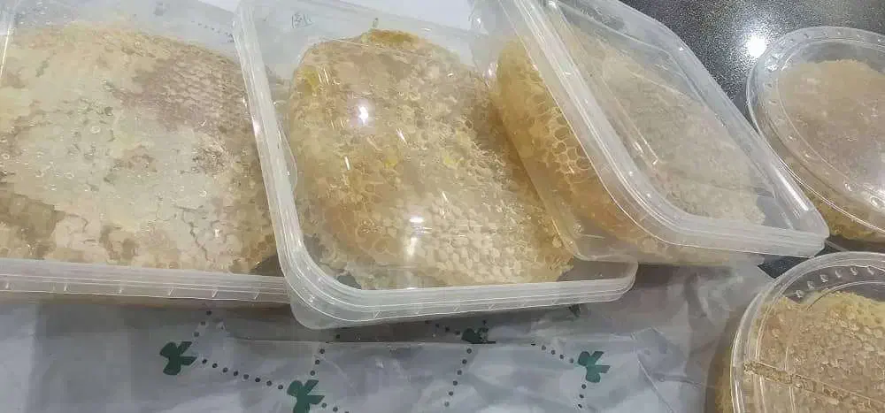 فروش عسل مرغوب درمانی کردستان|عمده‌فروشی|بندر ماهشهر, |دیوار