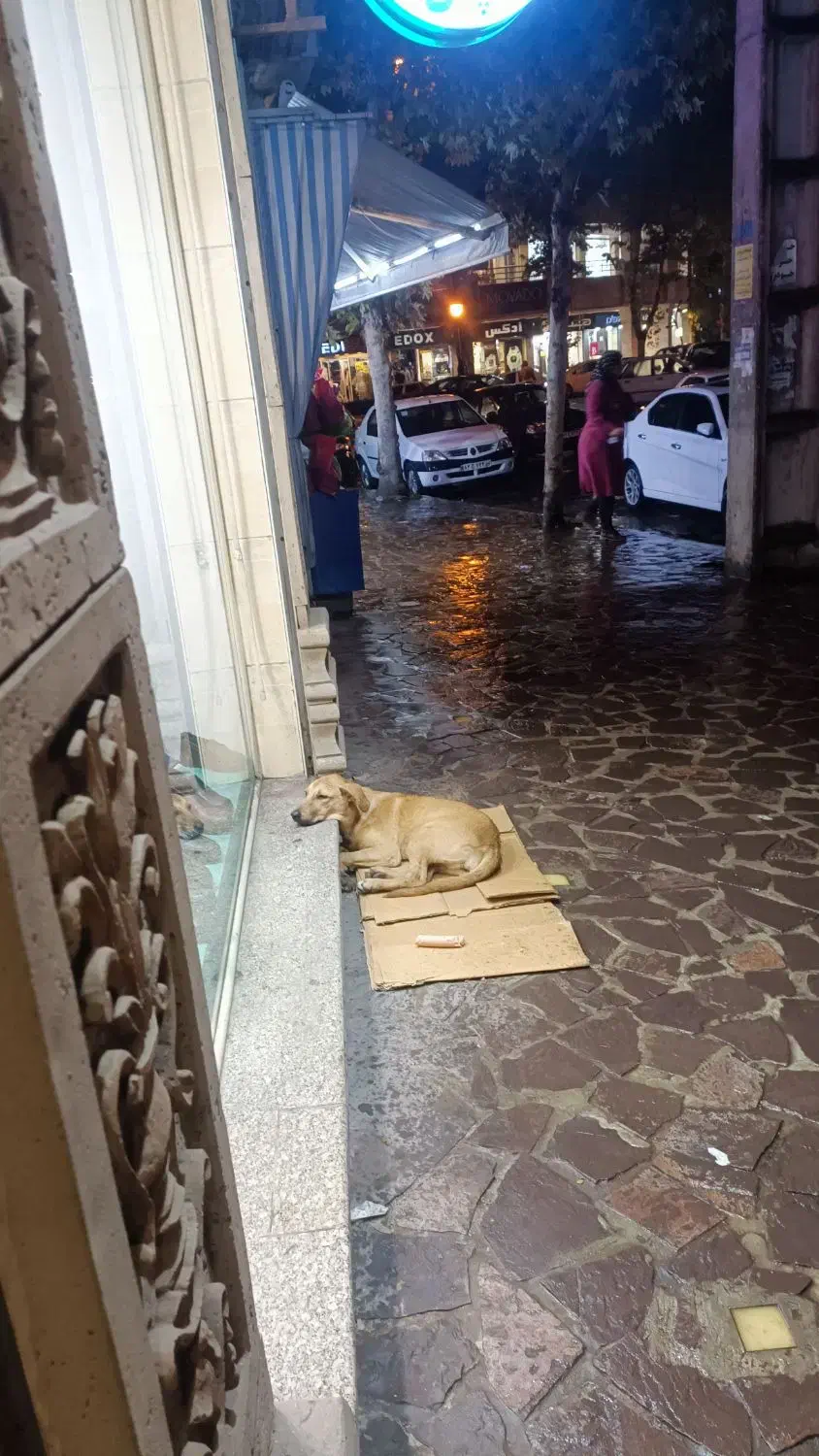 دور میدون حشمت با سرویس بهداشتی|اجارهٔ مغازه و غرفه|لاهیجان, شهید آوینی|دیوار