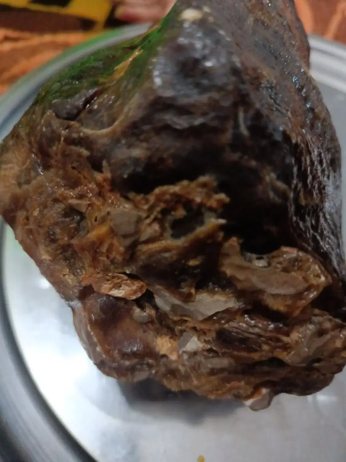 سنگ چوب فسیل شده|کلکسیون اشیاء عتیقه|خرمآباد, |دیوار