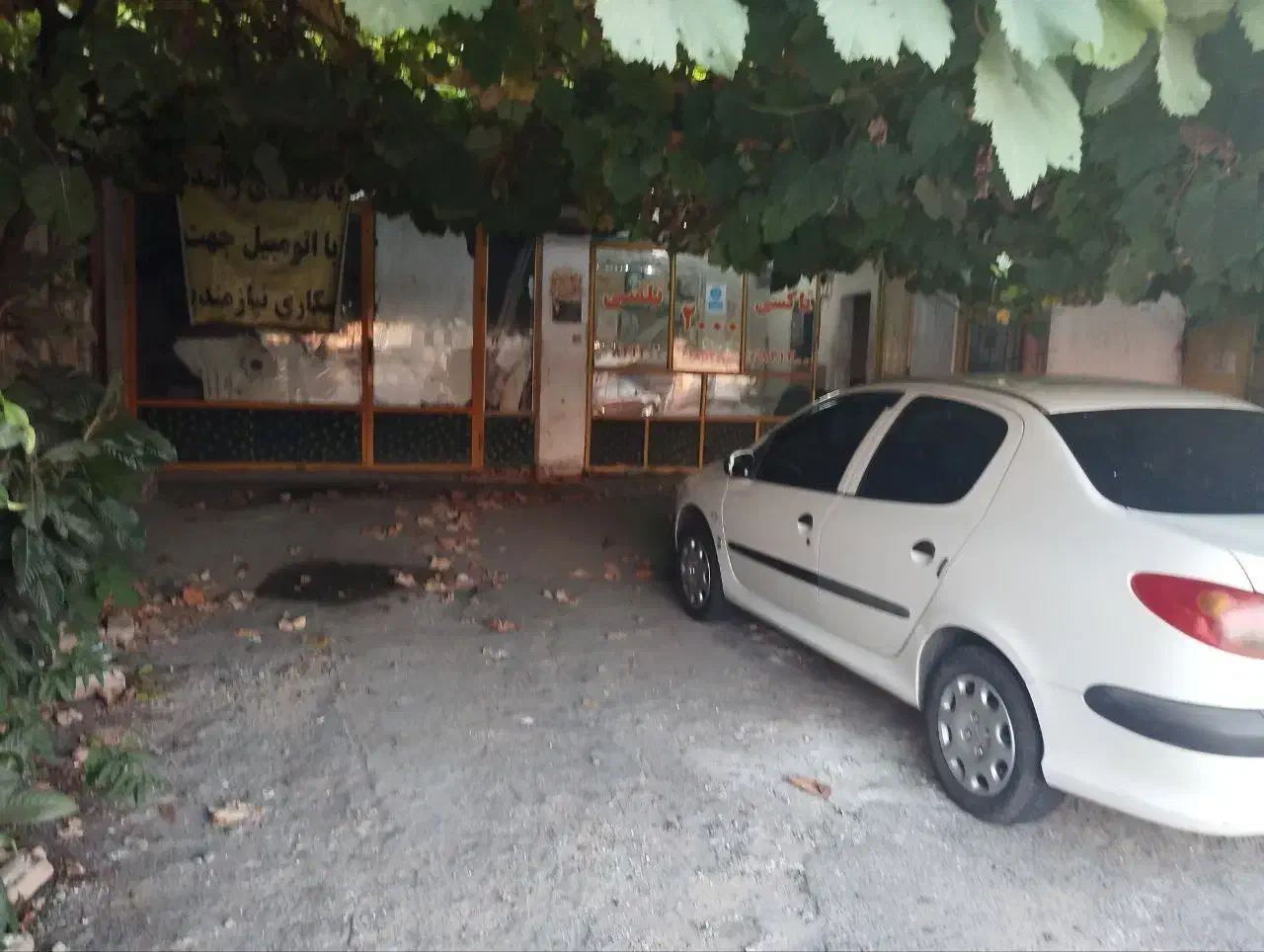 ۱۴۸ متر ملک ویلایی  سند دار|فروش مغازه و غرفه|رشت, پاستوریزه|دیوار