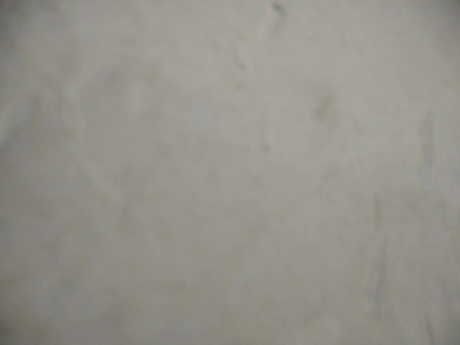 اجاره آپارتمان ۶۰ متری  طبقه همکف|اجارهٔ آپارتمان|زابل, |دیوار