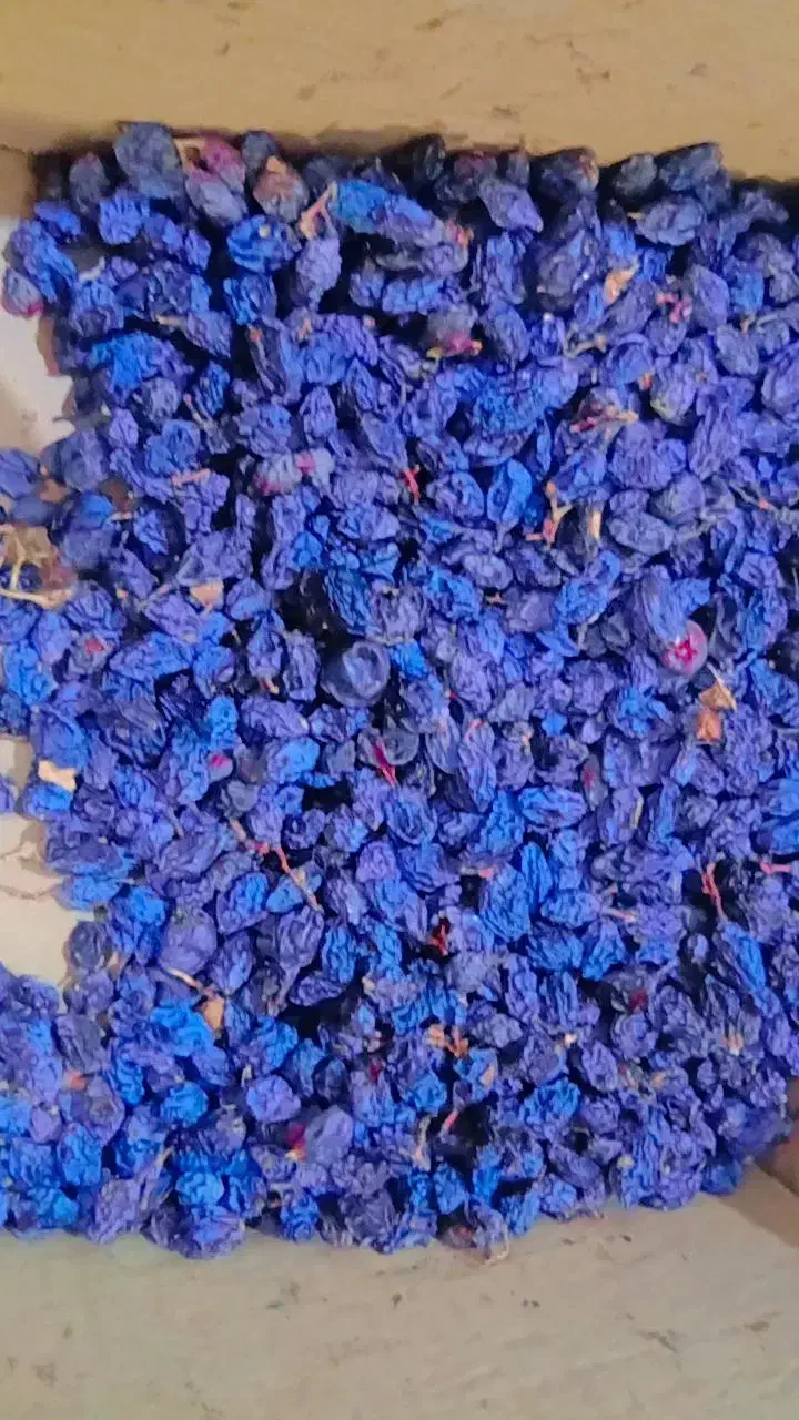 مویز کشمش آب گیری|خوردنی و آشامیدنی|رباطکریم, پیغمبر|دیوار