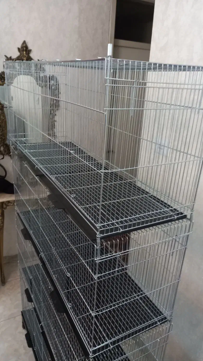 قفس جوجه پران پرون قناری عروس هلندی فنچ مرغ عشق|لوازم جانبی حیوانات|تهران, جوادیه|دیوار