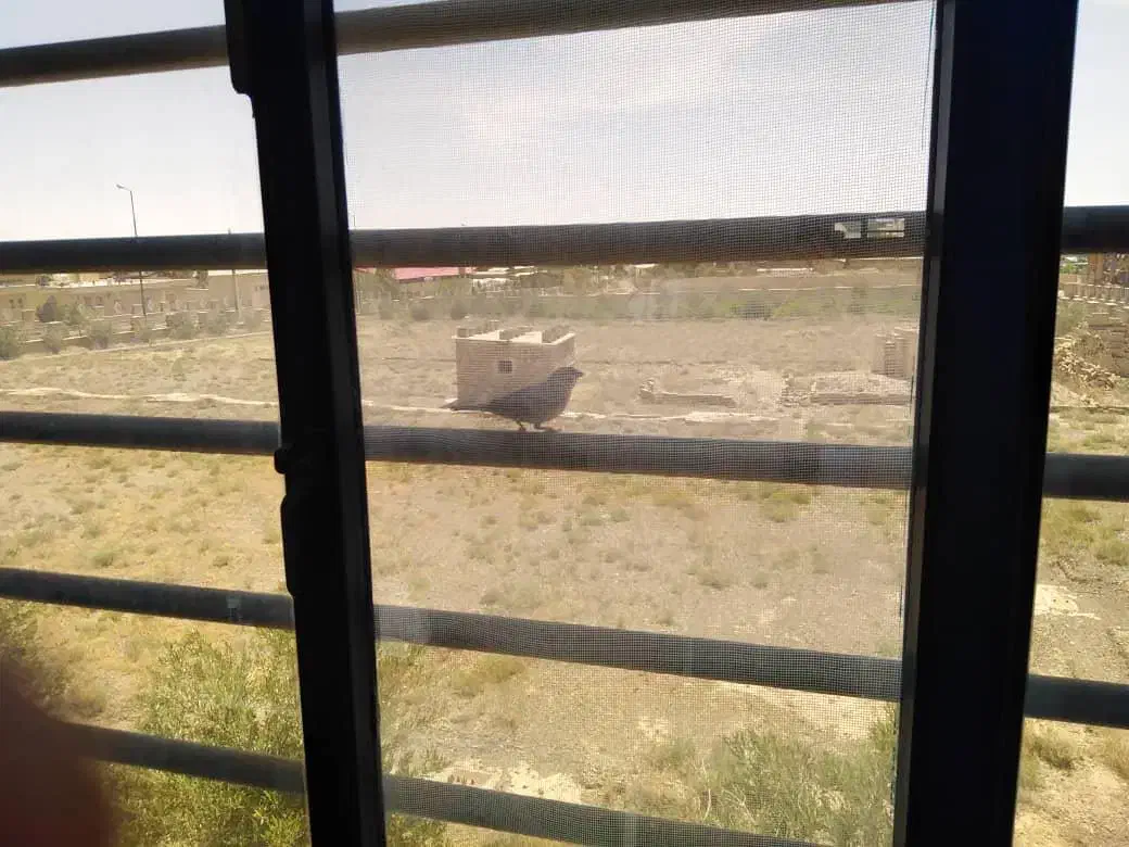 کارخانه در سهرک صنعتی|فروش دفتر صنعتی، کشاورزی، تجاری|سمنان, |دیوار