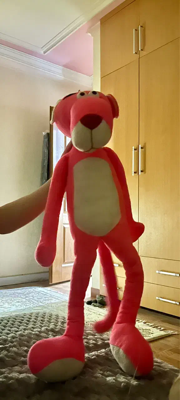 عروسک نو|اسباب‌‌بازی|بجنورد, |دیوار