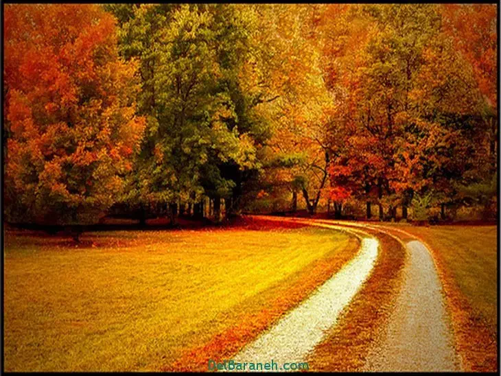 کار در کافی نت|استخدام رایانه و فناوری اطلاعات|هشتگرد, فاز ۲ مهستان|دیوار